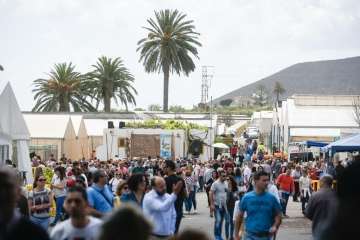 Más de 900 animales en la Feria de Ganado de Gran Canaria (Foto TA)